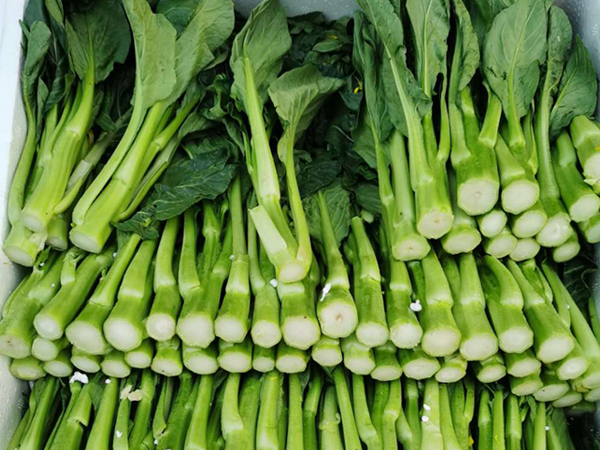菜心