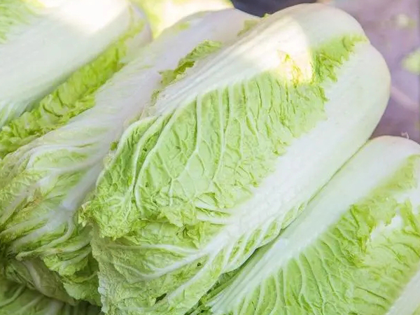 大白菜